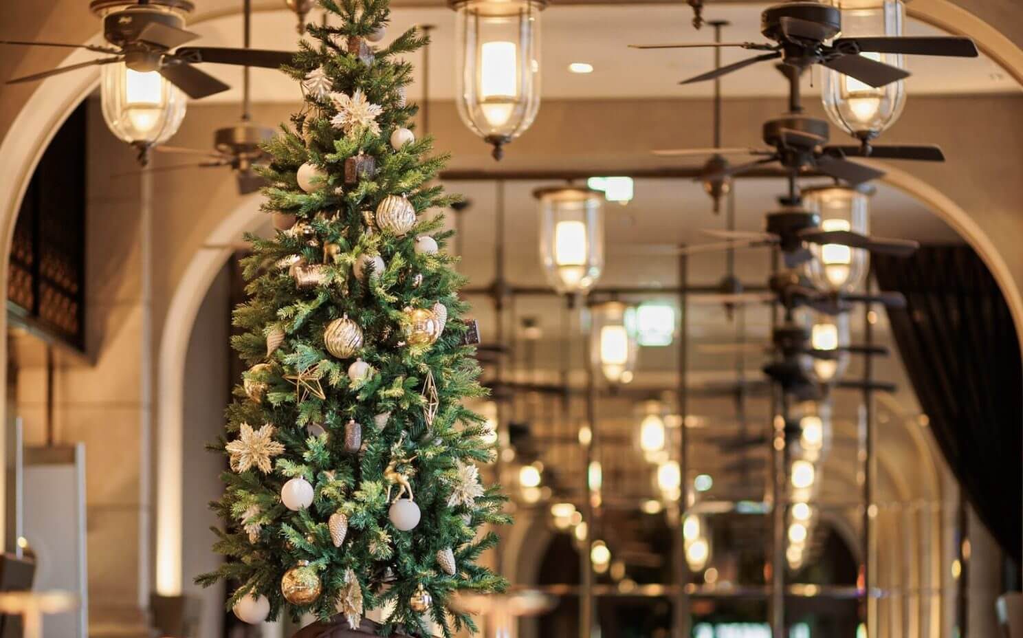 Reservations Now Open: Christmas Dinner Announcement | MAIN DINING by THE HOUSE OF PACIFIC / Steak house Medium Rare